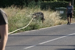 Santa Bárbara vibra con el \'bou en corda\'
