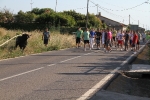 Santa Bárbara vibra con el \'bou en corda\'