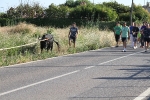 Santa Bárbara vibra con el \'bou en corda\'