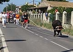 Fotografia /Gallery/51185_27169/2_M1.jpg