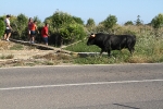 Santa Bárbara vibra con el \'bou en corda\'