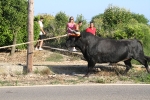 Santa Bárbara vibra con el \'bou en corda\'