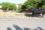 Santa Bárbara vibra con el \'bou en corda\'