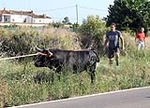 Fotografia /Gallery/51185_27169/3_M1.jpg