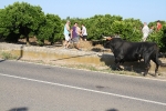 Santa Bárbara vibra con el \'bou en corda\'