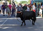Fotografia /Gallery/51185_27169/4_M1.jpg