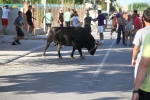 Santa Bárbara vibra con el \'bou en corda\'