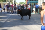 Santa Bárbara vibra con el \'bou en corda\'