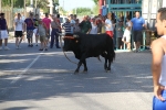 Santa Bárbara vibra con el \'bou en corda\'