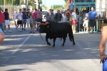 Santa Bárbara vibra con el \'bou en corda\'