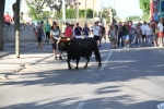 Santa Bárbara vibra con el \'bou en corda\'