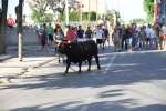 Santa Bárbara vibra con el \'bou en corda\'