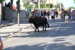 Santa Bárbara vibra con el \'bou en corda\'
