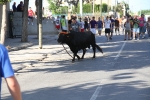 Santa Bárbara vibra con el \'bou en corda\'