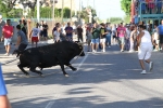 Santa Bárbara vibra con el \'bou en corda\'