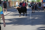 Santa Bárbara vibra con el \'bou en corda\'