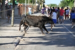Santa Bárbara vibra con el \'bou en corda\'