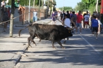 Santa Bárbara vibra con el \'bou en corda\'