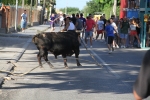 Santa Bárbara vibra con el \'bou en corda\'