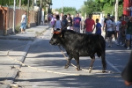 Santa Bárbara vibra con el \'bou en corda\'