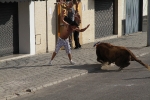 Las fiestas del Carmen arrancan con un toro cerril