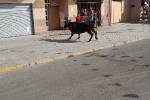 Las fiestas del Carmen arrancan con un toro cerril