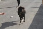 Las fiestas del Carmen arrancan con un toro cerril