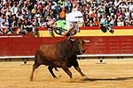 Fotografia /Gallery/5196_2980/10_M1.jpg