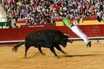 Emotiva despedida de David Sanchez el