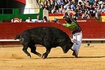 Emotiva despedida de David Sanchez el