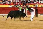 Emotiva despedida de David Sanchez el