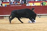Emotiva despedida de David Sanchez el