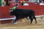 Emotiva despedida de David Sanchez el