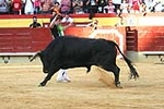 Emotiva despedida de David Sanchez el