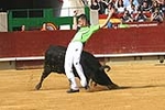 Fotografia /Gallery/5196_2980/7_M1.jpg