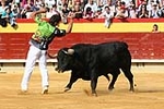 Fotografia /Gallery/5196_2980/8_M1.jpg
