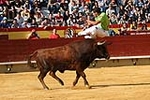 Fotografia /Gallery/5196_2980/9_M1.jpg
