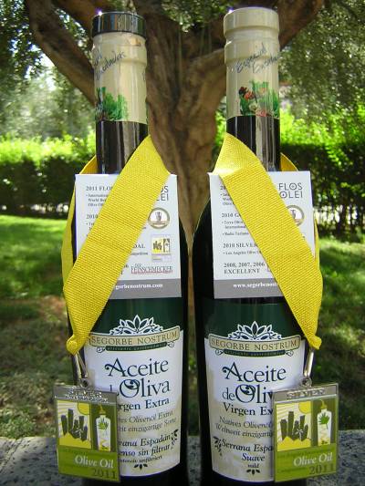 Fotografia /Gallery/52862_28019/2_M1.jpg