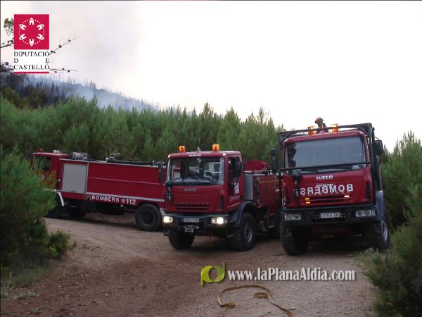 El incendio de Lucena del Cid ya está extinguido