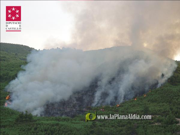 El incendio de Lucena del Cid ya está extinguido