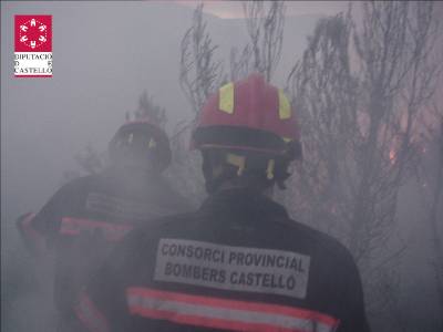 Fotografia /Gallery/52867_28022/5_M1.jpg