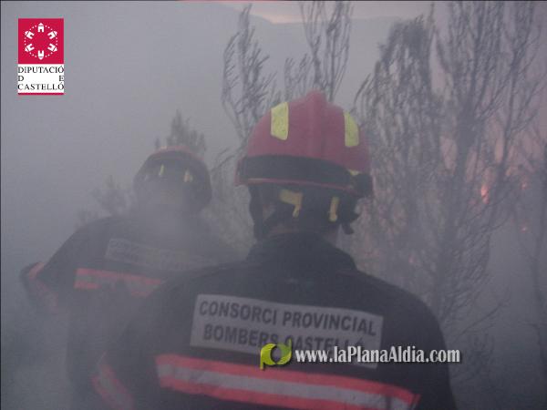 El incendio de Lucena del Cid ya está extinguido