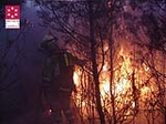El incendio de Lucena del Cid ya está extinguido