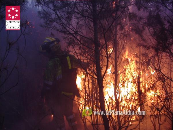 El incendio de Lucena del Cid ya está extinguido