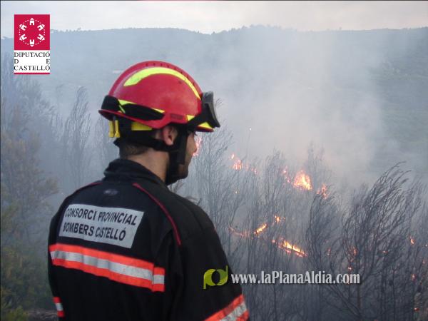 El incendio de Lucena del Cid ya está extinguido