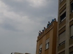 galeria2