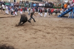 El primer encierro de Les Penyes en festes deja cinco heridos