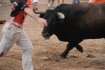 El primer encierro de Les Penyes en festes deja cinco heridos