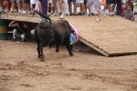 El primer encierro de Les Penyes en festes deja cinco heridos