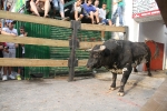 El primer encierro de Les Penyes en festes deja cinco heridos